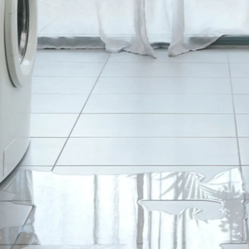 Appliance Leak Cleanup in Nash, TX