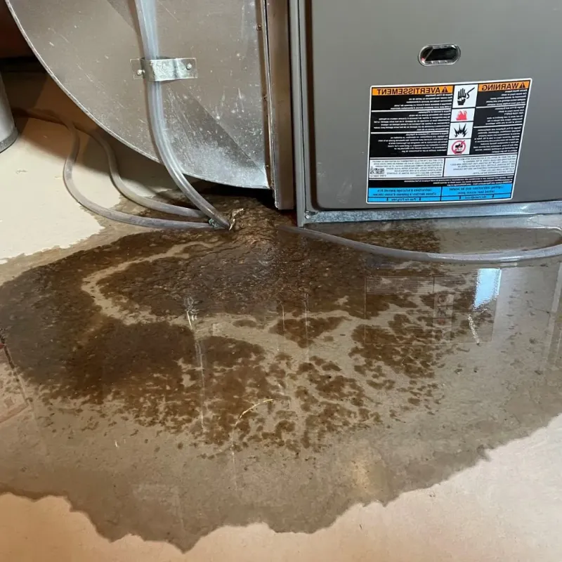 Pipe Burst and Leak Restoration in Nash, TX